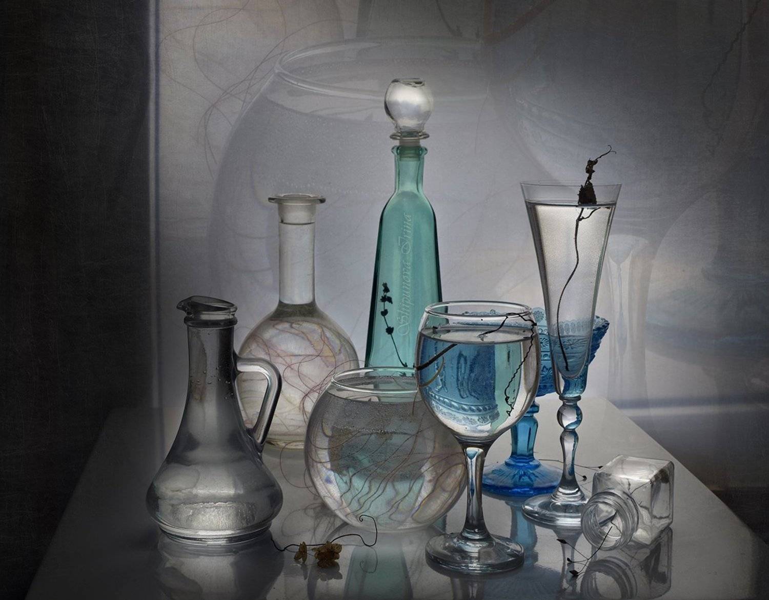 , Шипунова Ирина