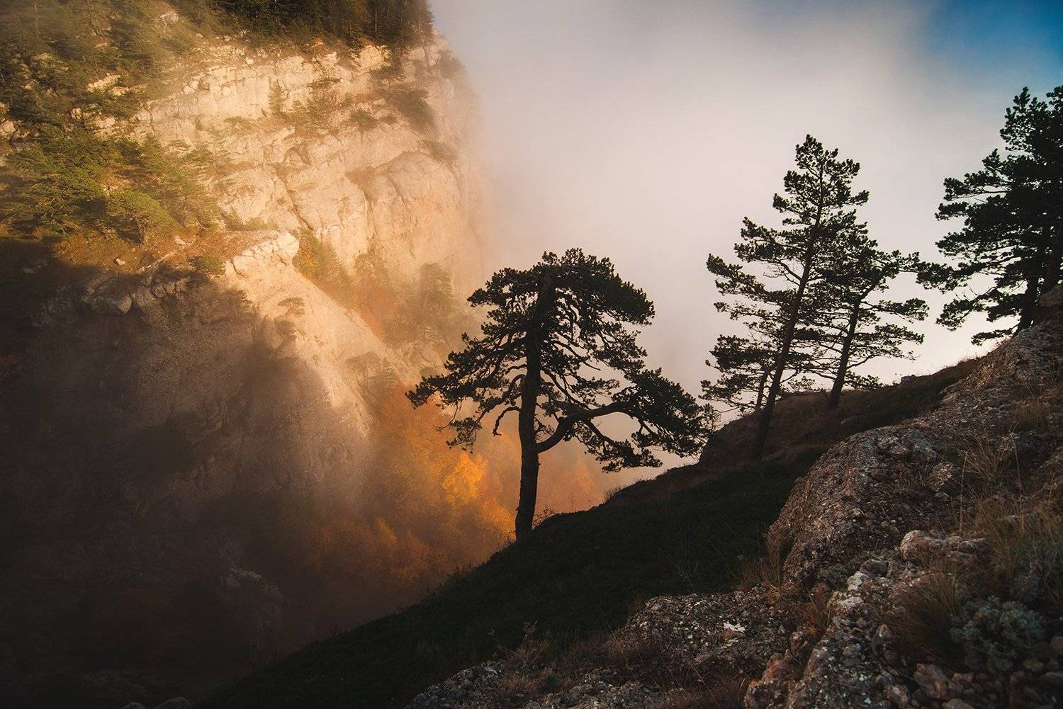 крым, Юрий Коваленко