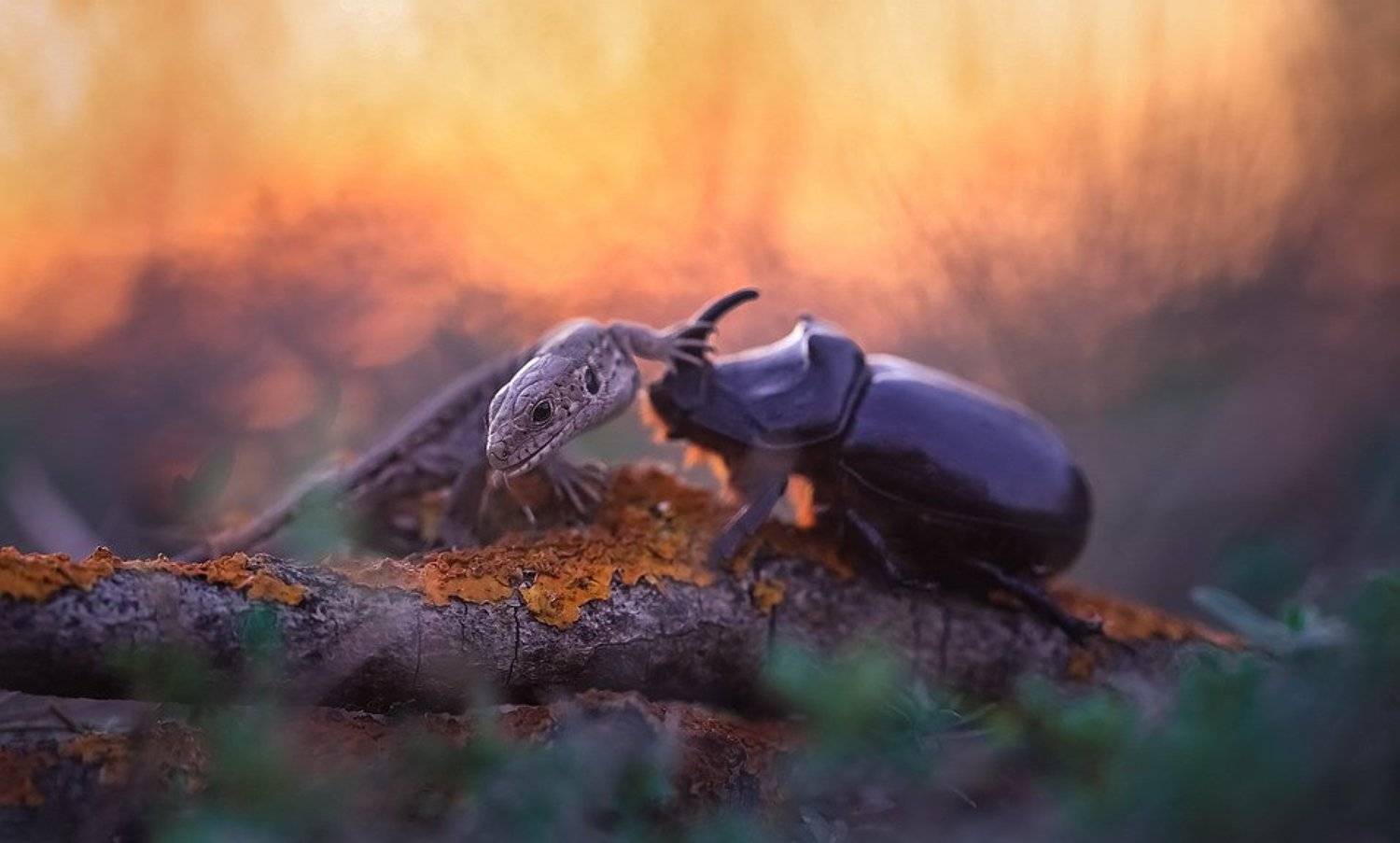 , Вячеслав Мищенко