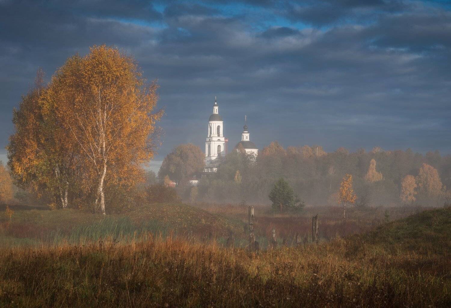утро, рассвет, природа, туман, филипповское, Виталий Левыкин