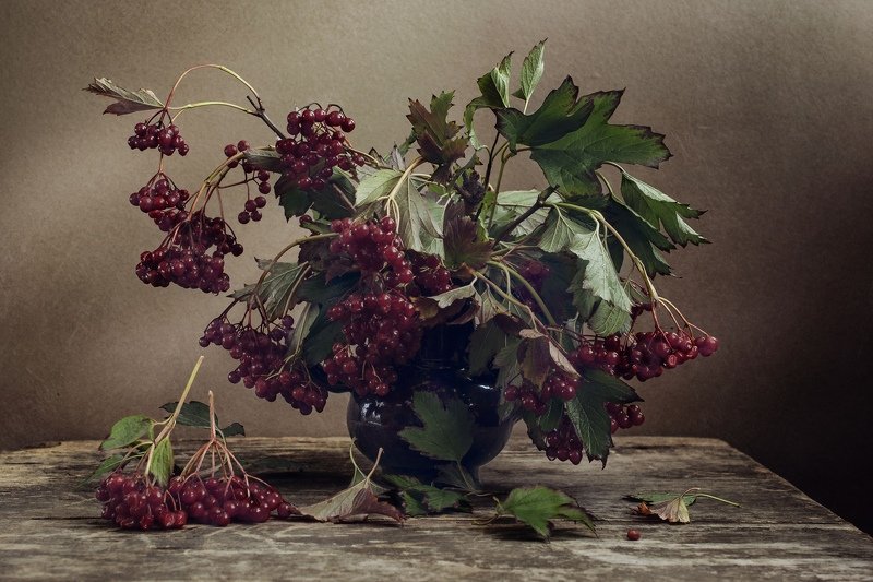 цветы, калина, осень, стол Натюрморт с калиной фото превью