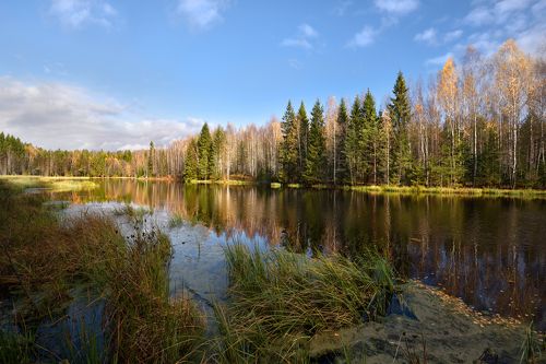 осенний пейзаж