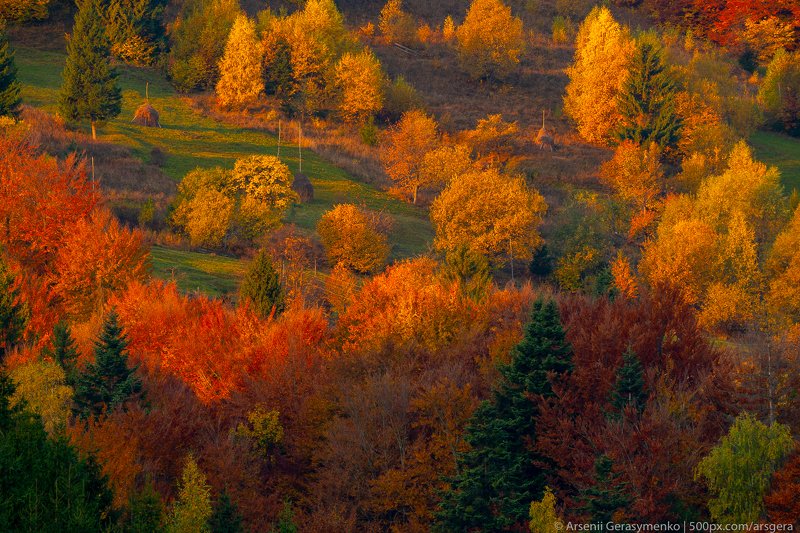 haystack, rick, stack, carpathians, carpathian mountains, pasture, countryside, picturesque, pine, tranquil, wood, rural, mountains, foliage, wonderland, land, meadow, field, scenic, tourism, season, house, autumn, mountain, landscape, fall, background, b Autumn foliage trees in the mountains. Meadow with haystack and forest in the Carpathian mountains фото превью