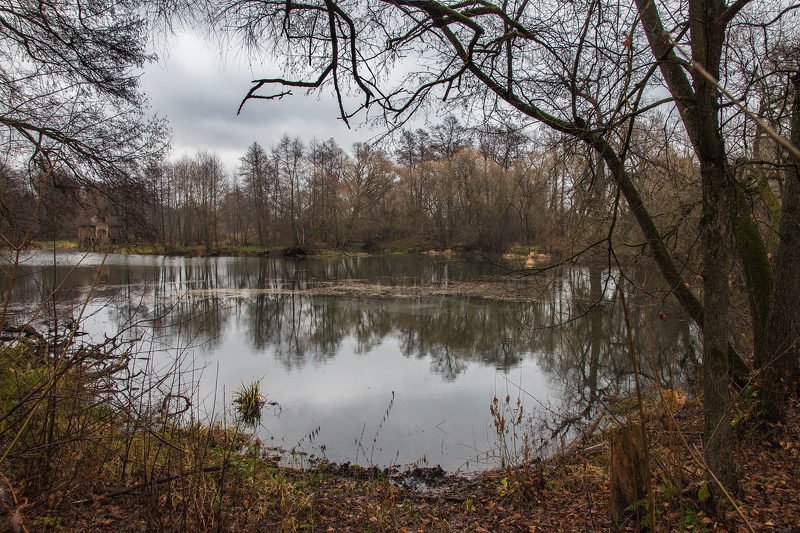 Поздняя осень фото превью