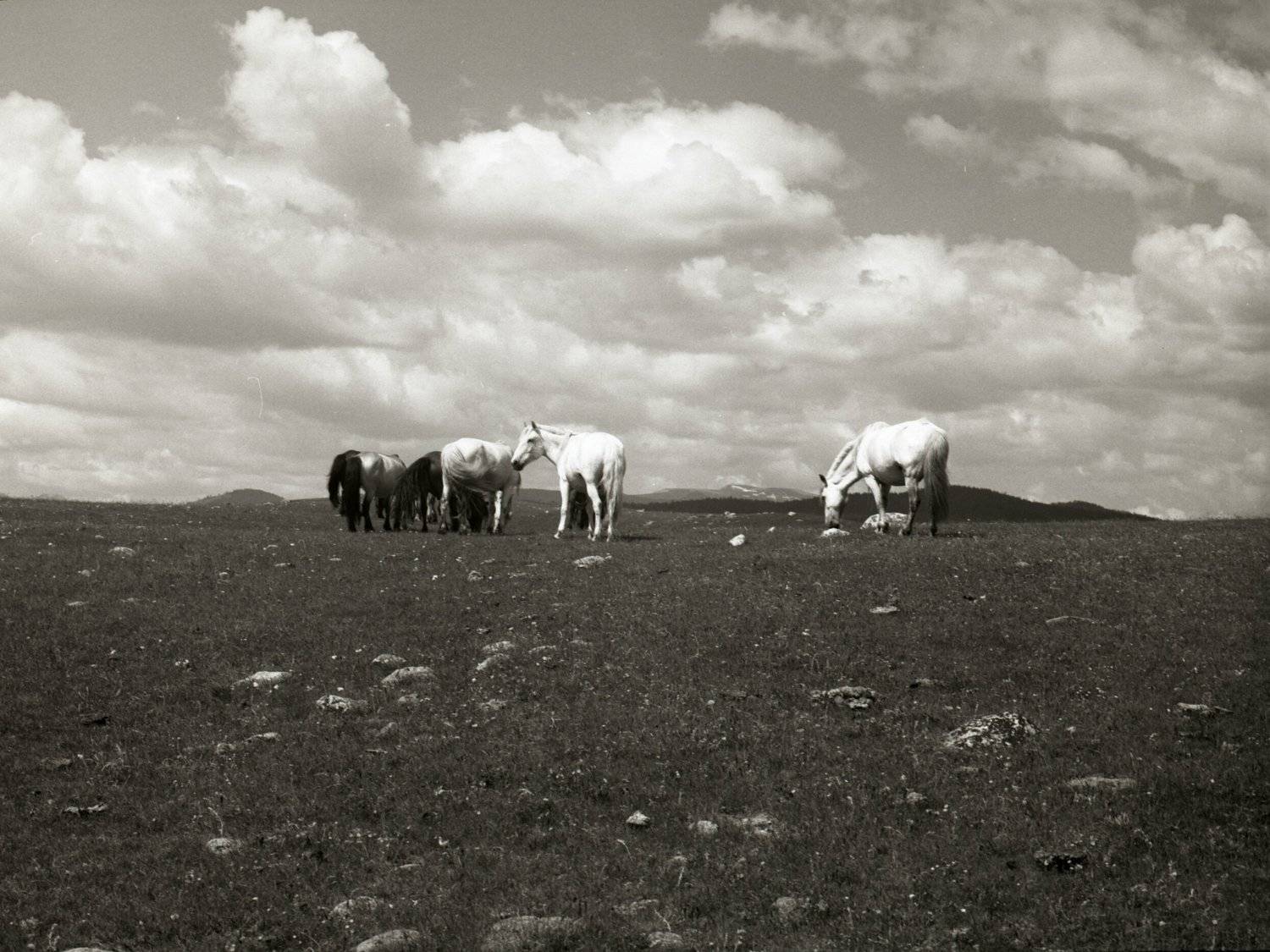 , Илья Глобин