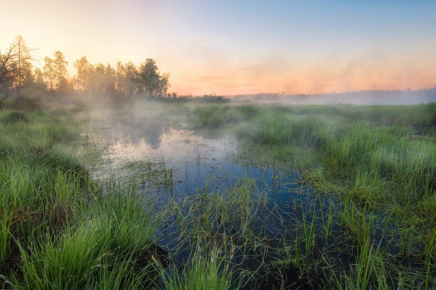 , Павел Глушков