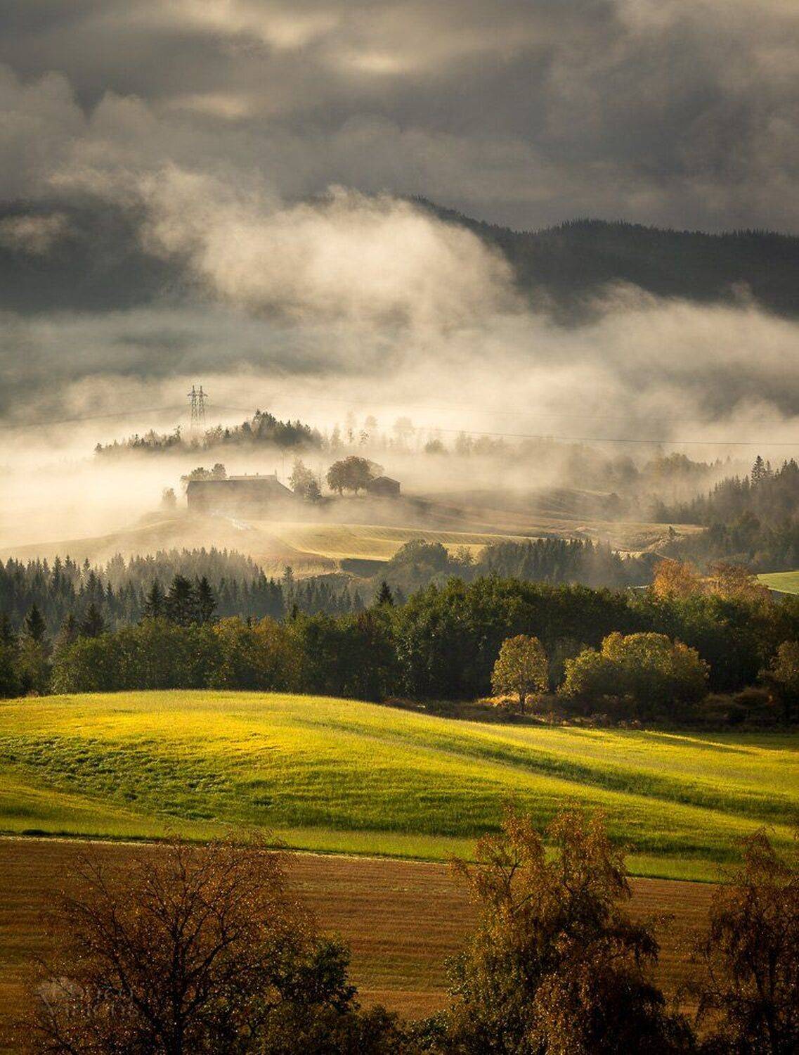 autumn,autumnal,light,landscape,norway,norwegian,rural,trees,morning,sunrise,fog,foggy,warm light,golden hour, Adrian Szatewicz
