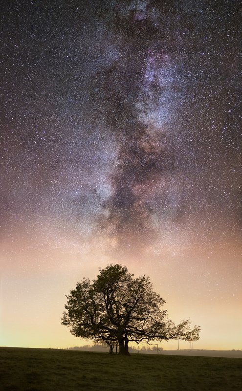 landscape, tree, stars, panorama, milky way Solitair and Stars фото превью