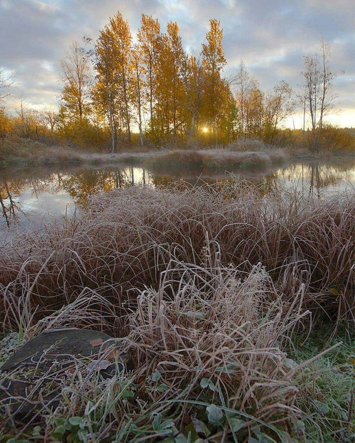 , Петр Косых