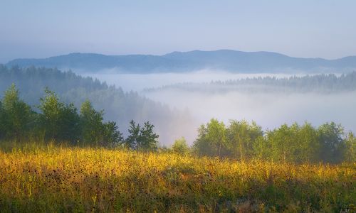 Туманные этюды Прикарпатья