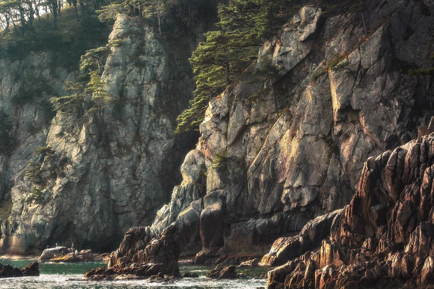 скалы, сосны, море, Андрей Кровлин