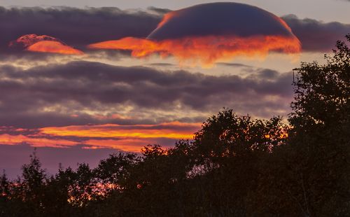Небесная черепаха