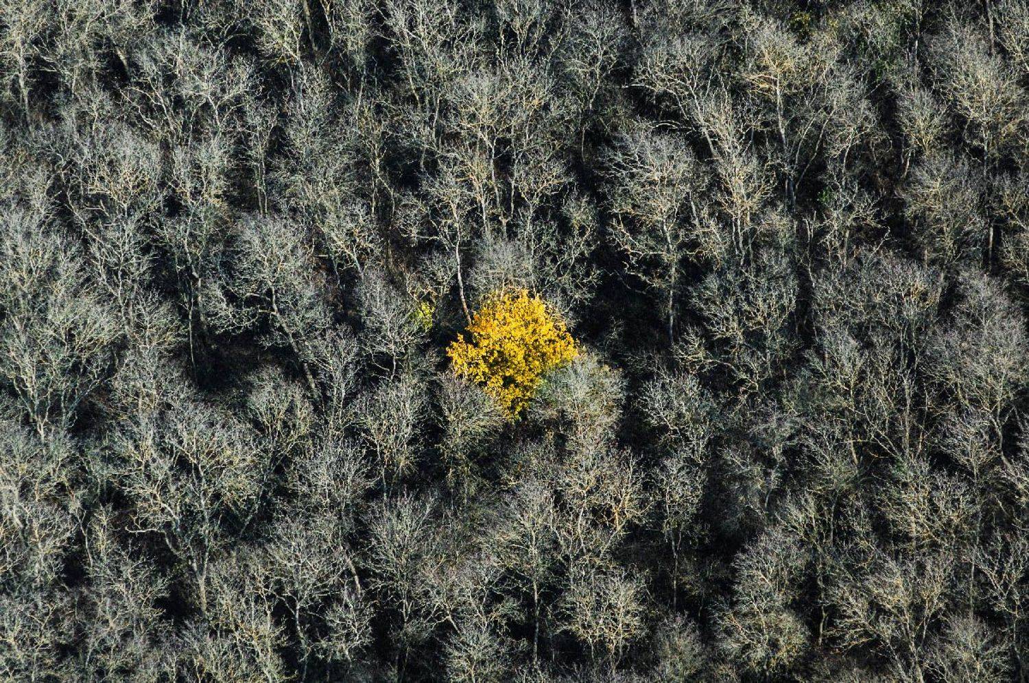 , Сидоренко Алексей