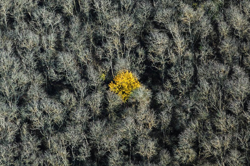 ***** фото превью