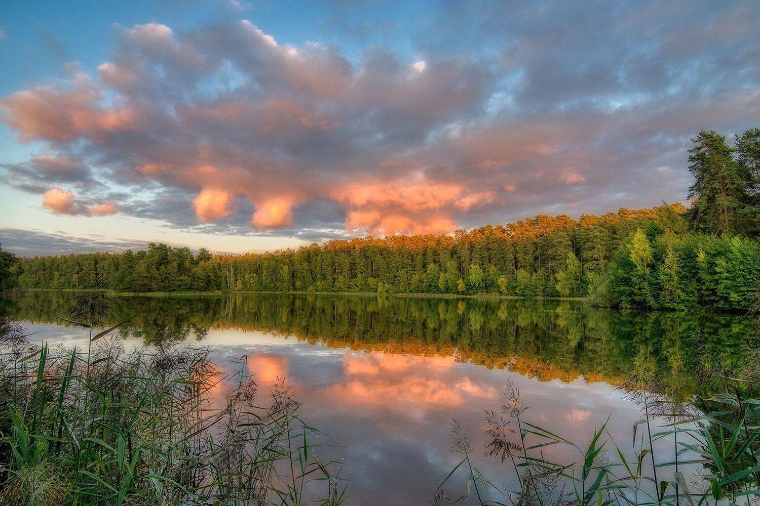 , Федотов Антон