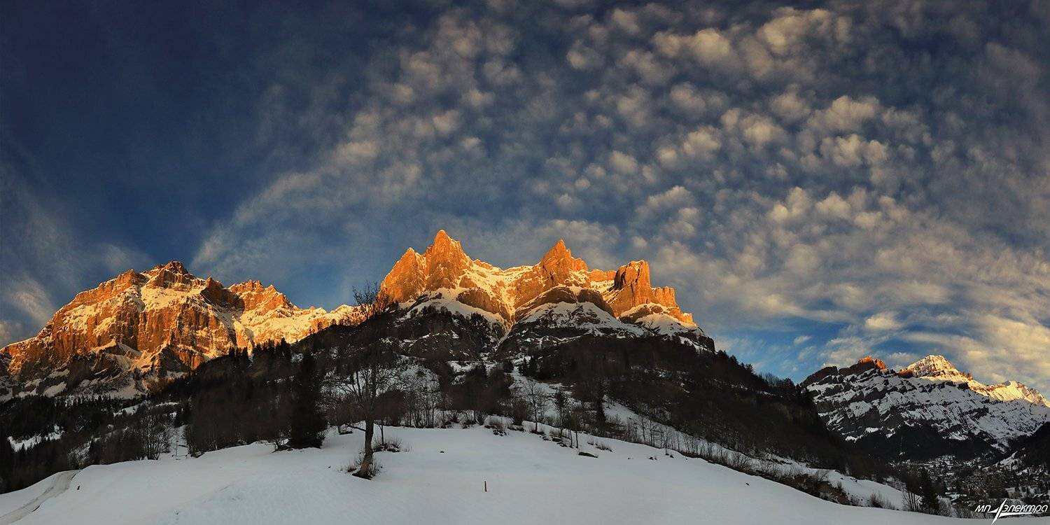 swiss, Матвеев Николай