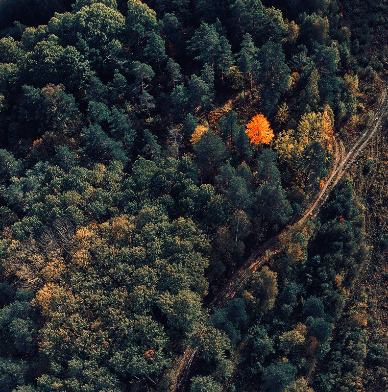 *** фото превью