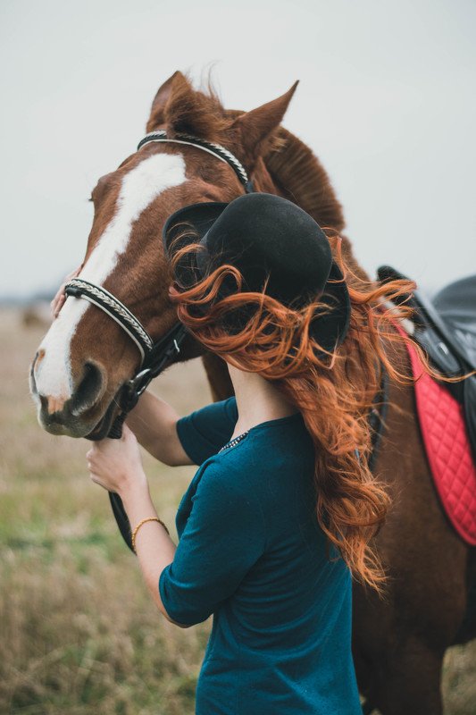 red autumn фото превью