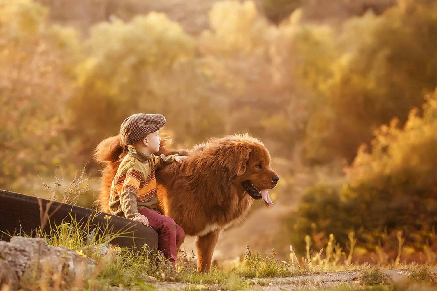 , Марина Бережная