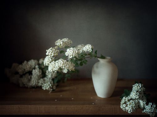 С веточками цветущей спиреи.