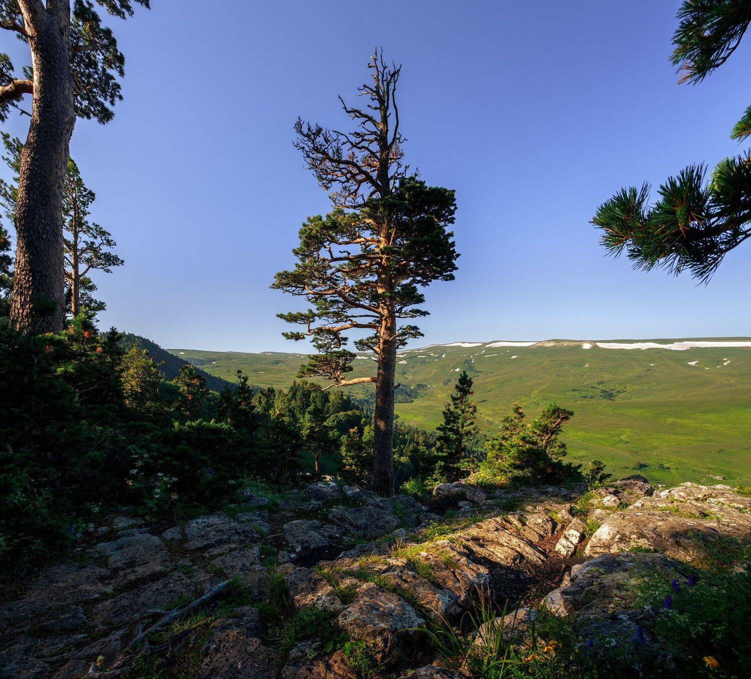 пейзаж, Лаго-Наки, Сергей Сергеев