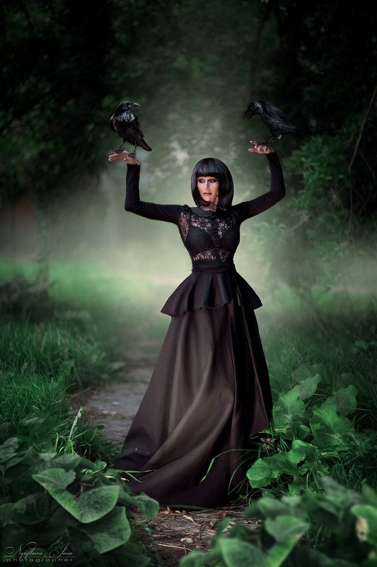 вороны фото превью