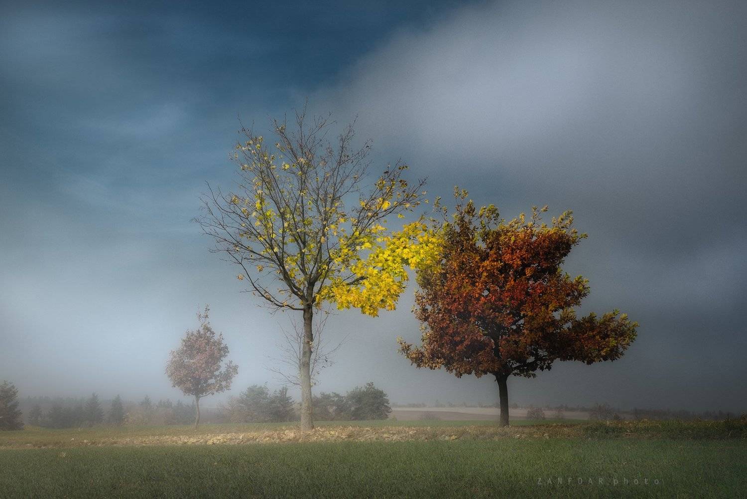 осень , zanfoar,czech republic,bohemia,moravia,nikon d750,деревья, пейзаж, туман,чехия,  Zanfoar