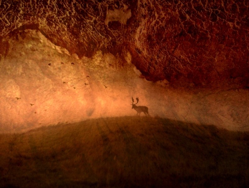 Last November... фото превью