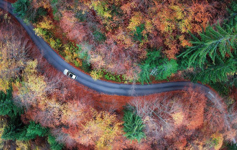 Colorful фото превью