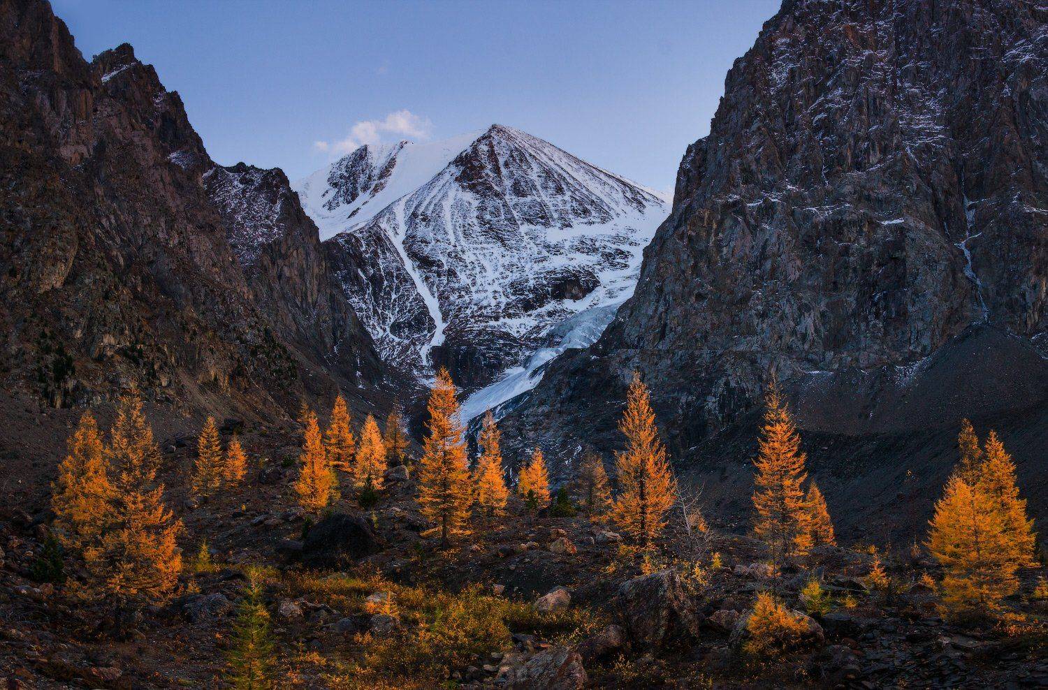 алтай, горы, актру, Владимир Ляпин