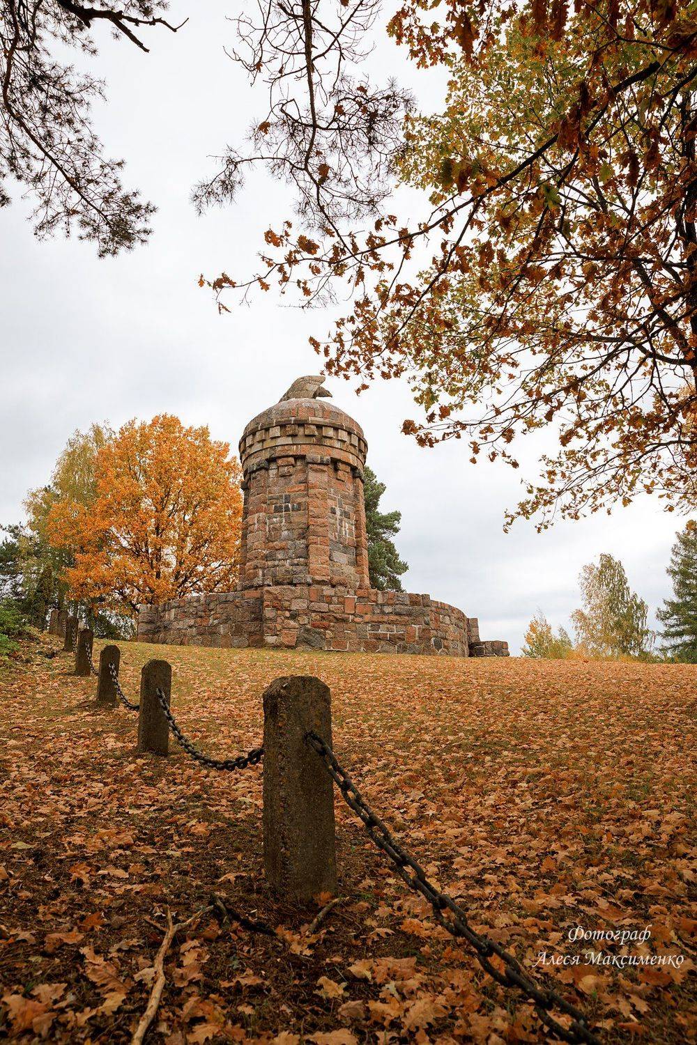 Беларусь , Алеся Максименко