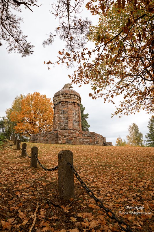 Беларусь  Десятники фото превью