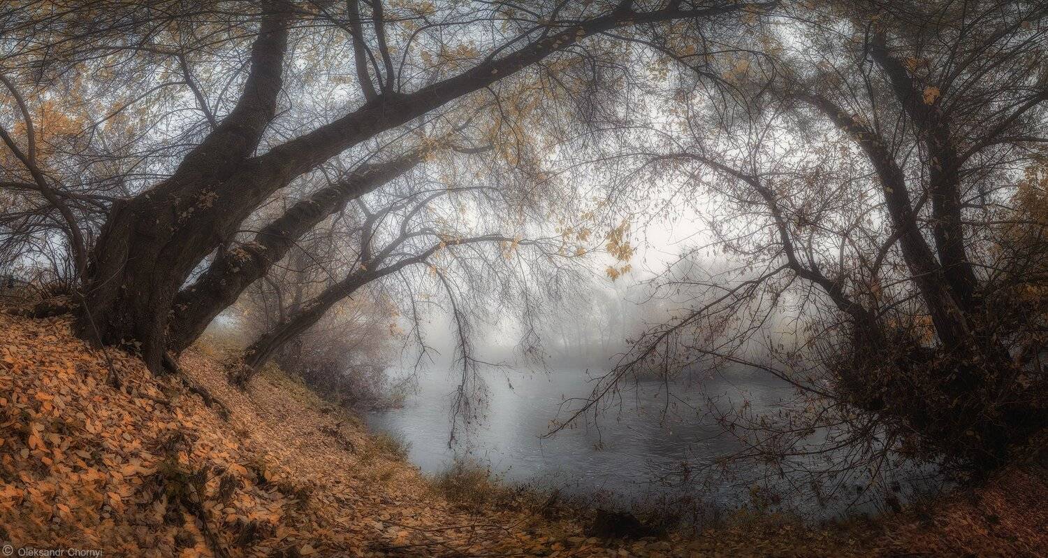 украина, коростышев, природа, осень, река, тетерев, тишина, уединение, счастье, жизнь, воздух, чистый, вдохновение, отражение, трава,  деревья, просторы, фотограф, чорный,, Александр Чорный