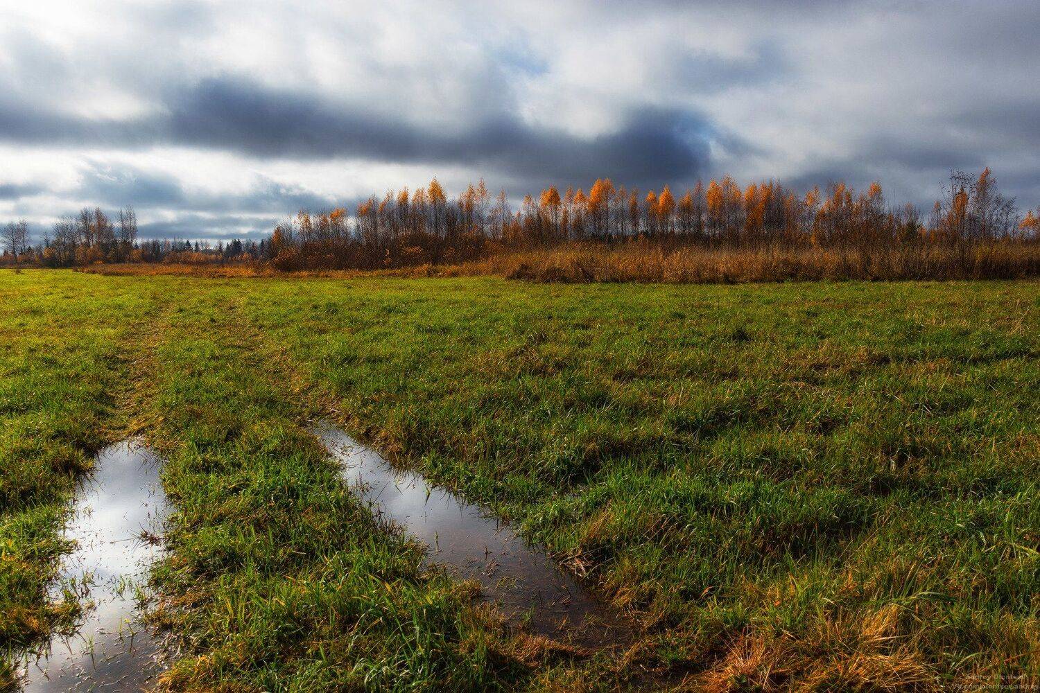 солнце, россия, рассвет, природа, подмосковье, погода, пейзажи, пейзаж, отражение, наукоград, красота, дубна, вода, весна, weather, water, spring, russia, reflection, naukograd, nature, moscow, landscape, dawn, canon, dubna, beauty, Андрей Олонцев