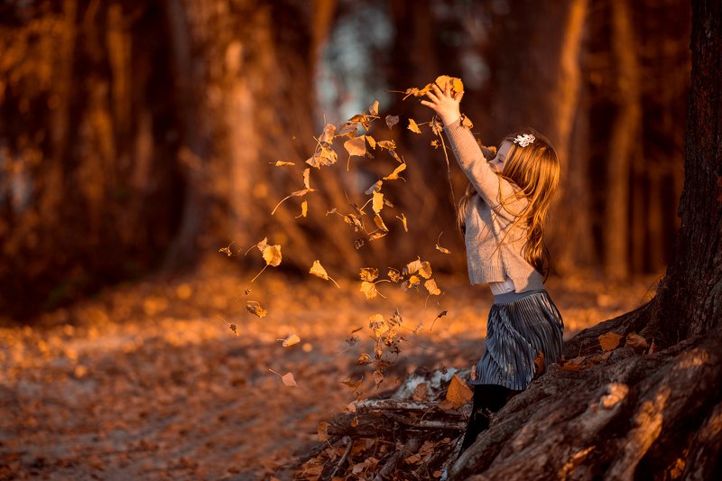 Золотая осень фото превью