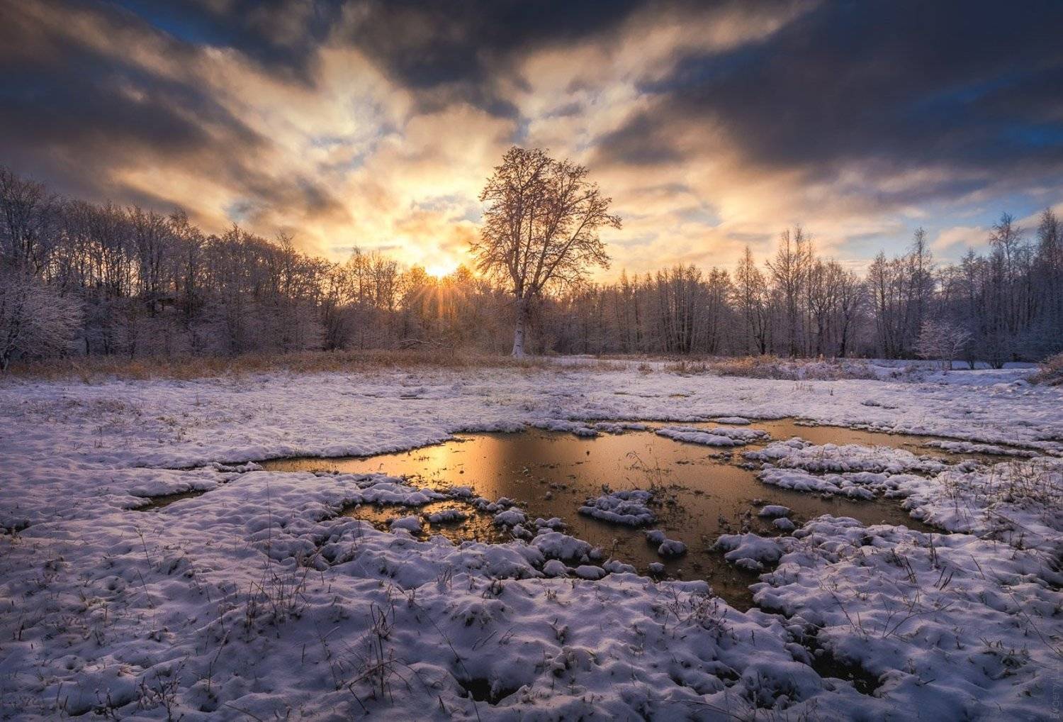 , Евгений Луцко