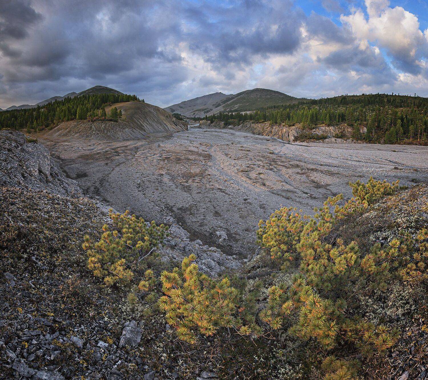 , Николай Андреев