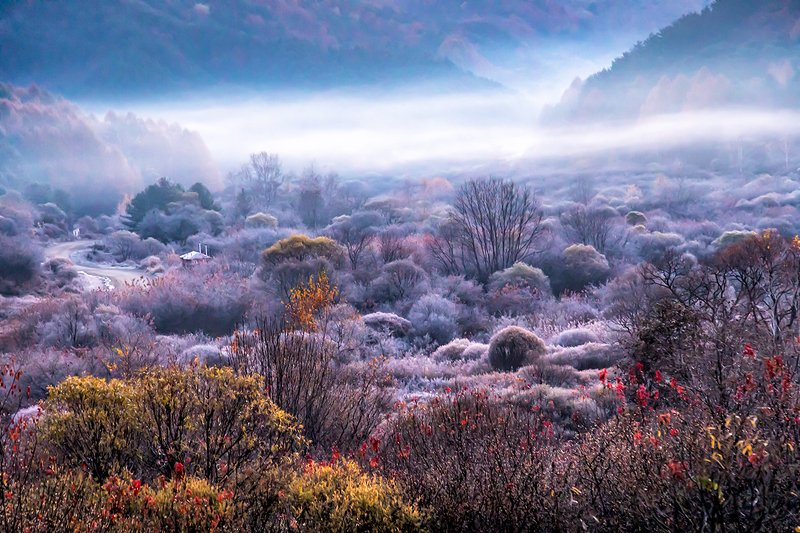 Secret Garden фото превью
