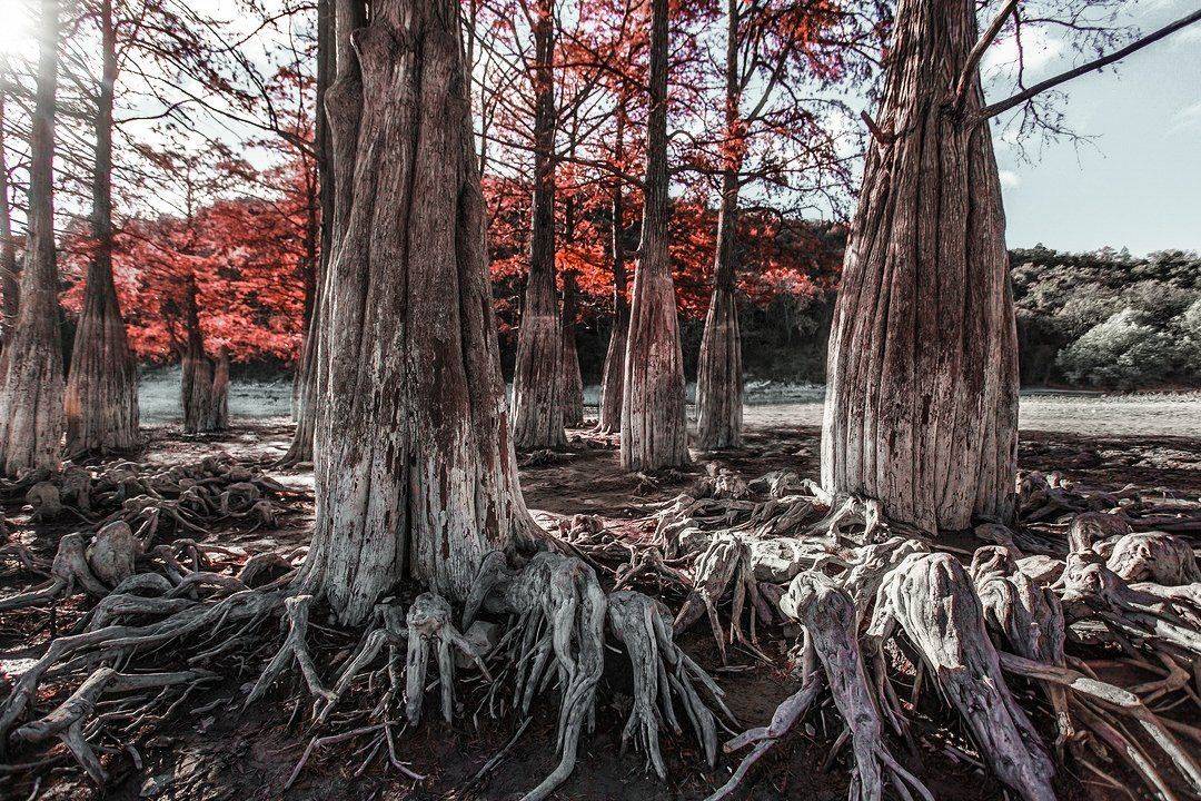 Краснодар,россия,пейзажи,природа, Павел Сагайдак