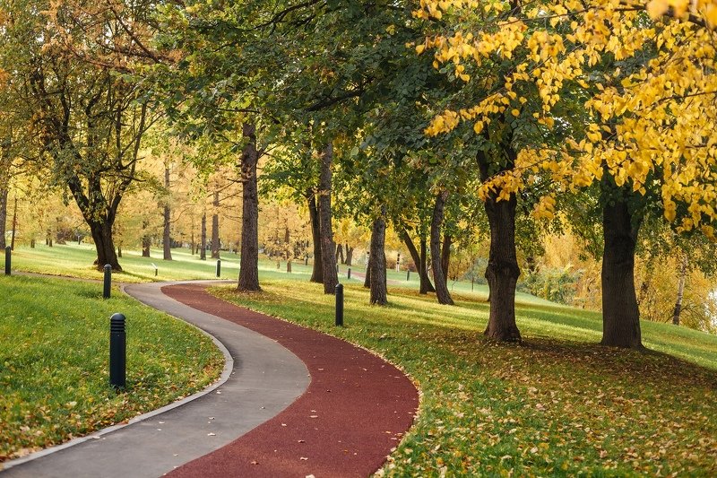 Зеленоград Осень в Зеленограде фото превью