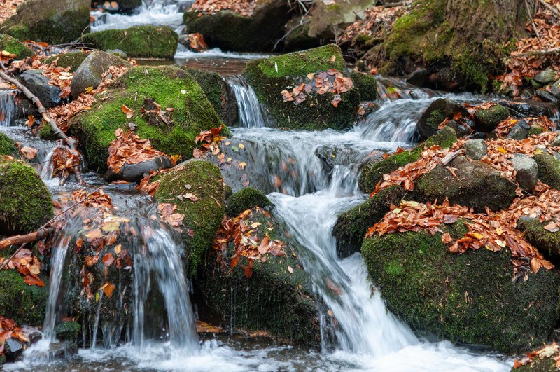 Есенна река фото превью