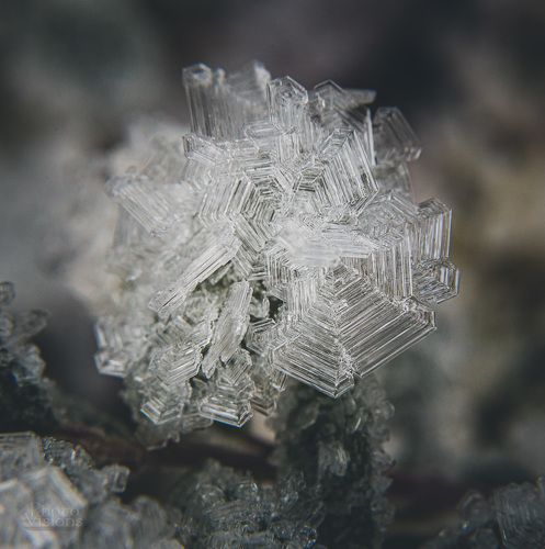 Winter magic in macro world