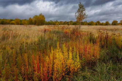Красочное время