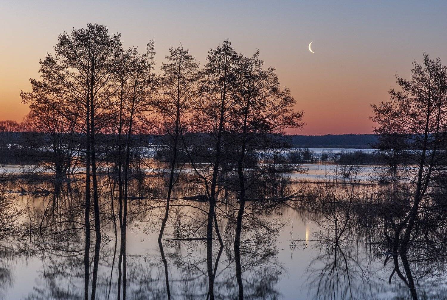 , Дмитрий Новоселов