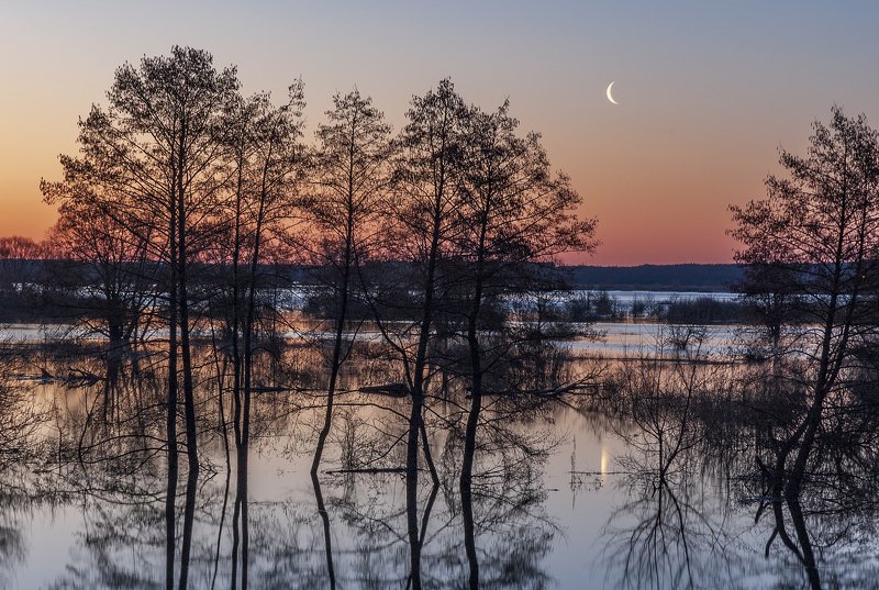 Восход Луны в пойме реки Воронеж фото превью