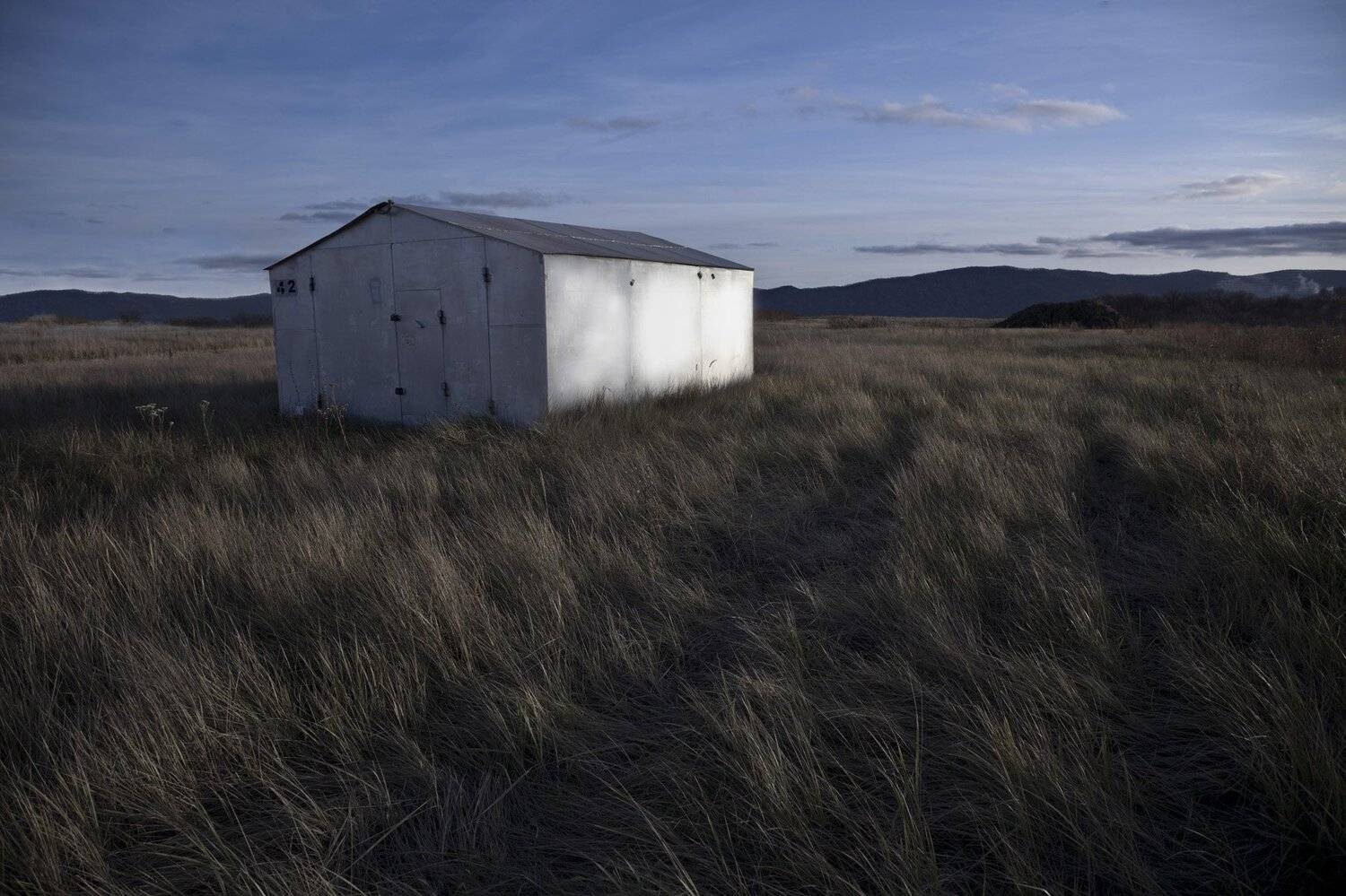 трава, Виктор Кириллов