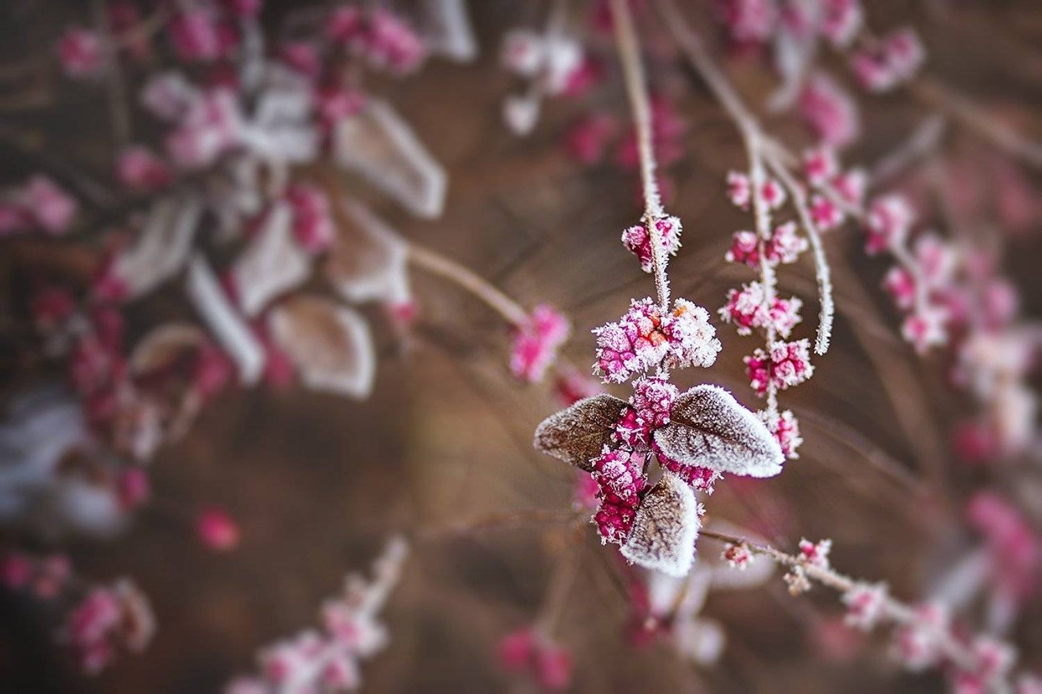 южный, урал, губерля орск, новотроицк, Качурин Алексей