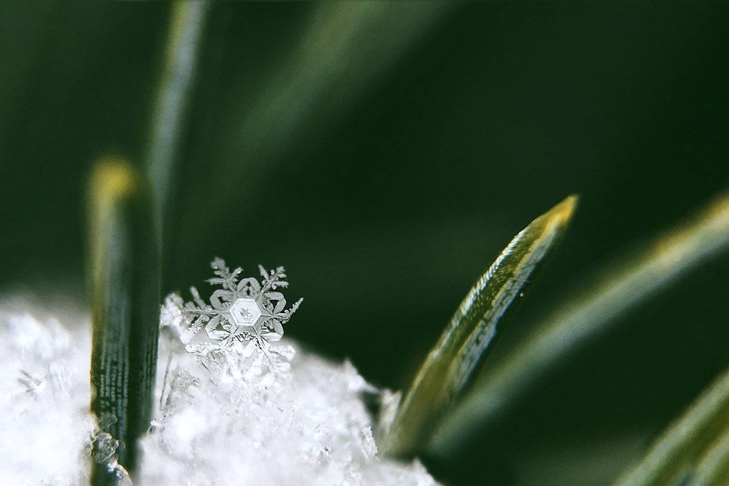 южный, урал, губерля орск, новотроицк, Качурин Алексей