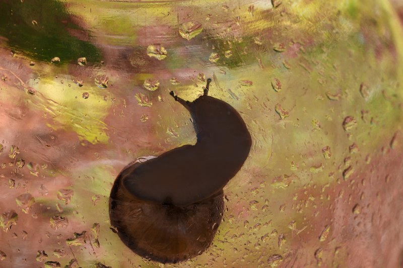 Лирика.. фото превью