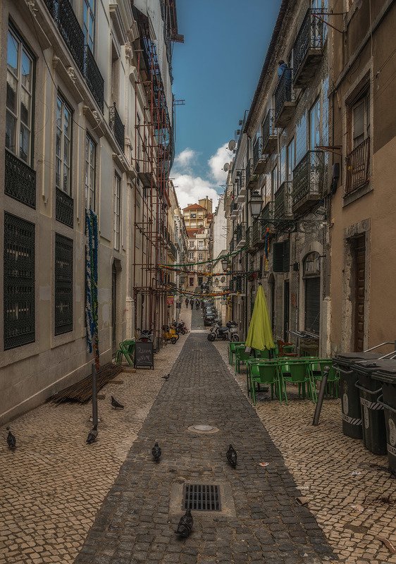 лиссабон, lisbon .....и голуби фото превью